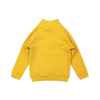 Koko noko trui - young travellers